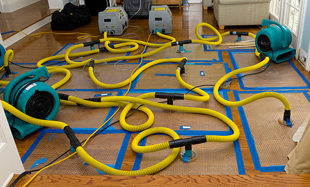 Professional Basement Flood Cleanup technician working in Dawsonville, GA